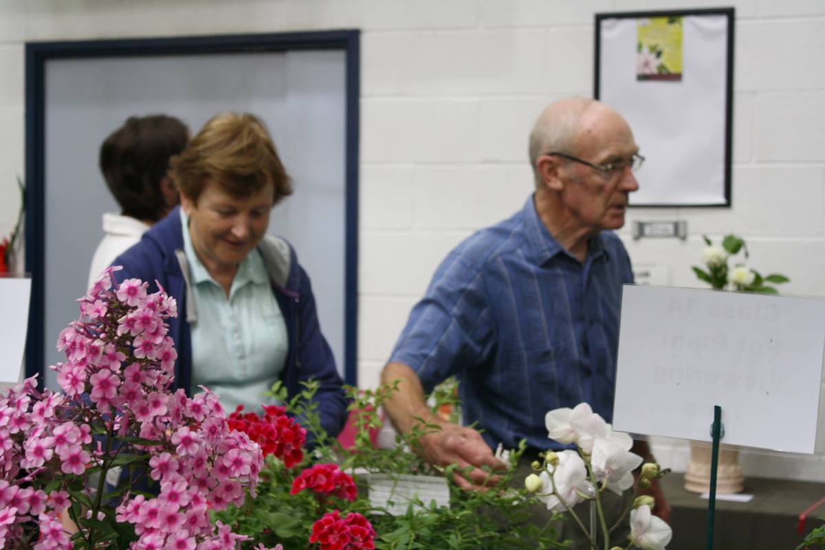 ../Images/Horticultural Show in Bunclody 2014--11.jpg